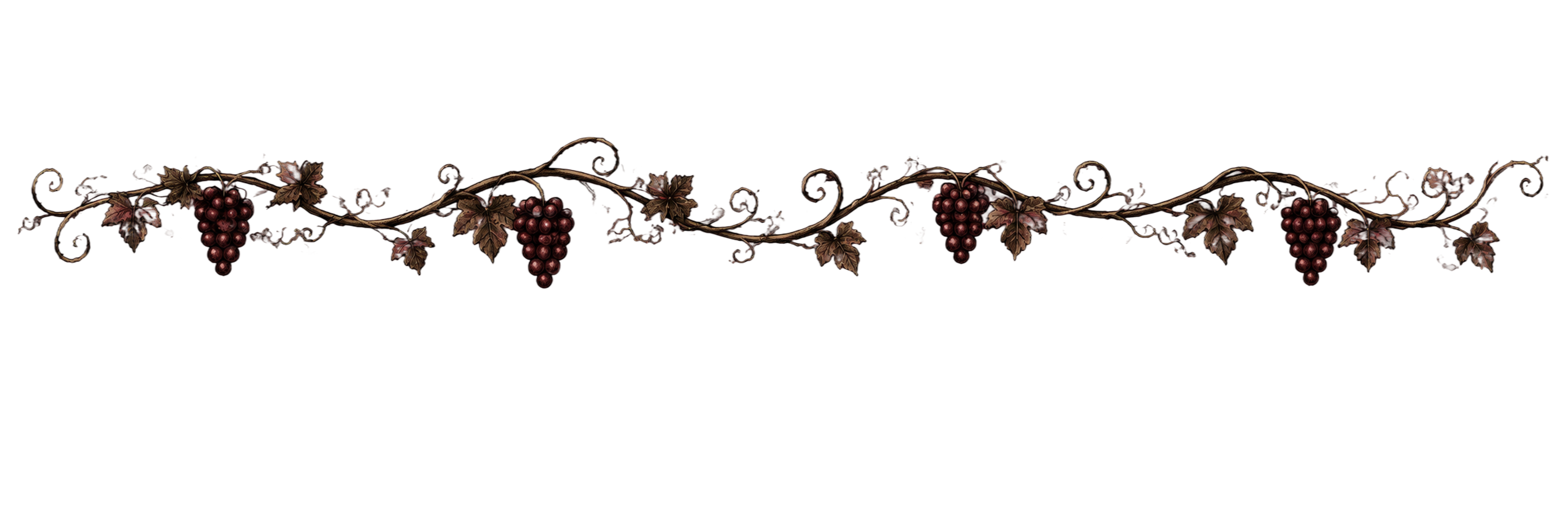 Decorative vine border with clusters of grapes